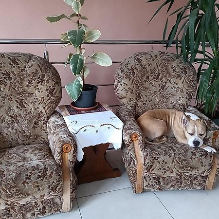 Noclegi Centrum Jelenia Gora Luaran gambar