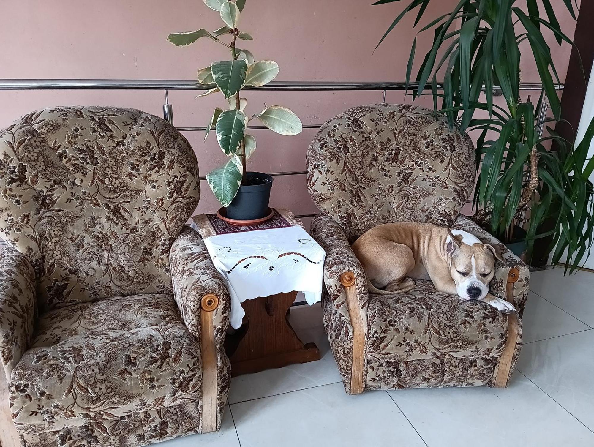 Noclegi Centrum Jelenia Gora Luaran gambar