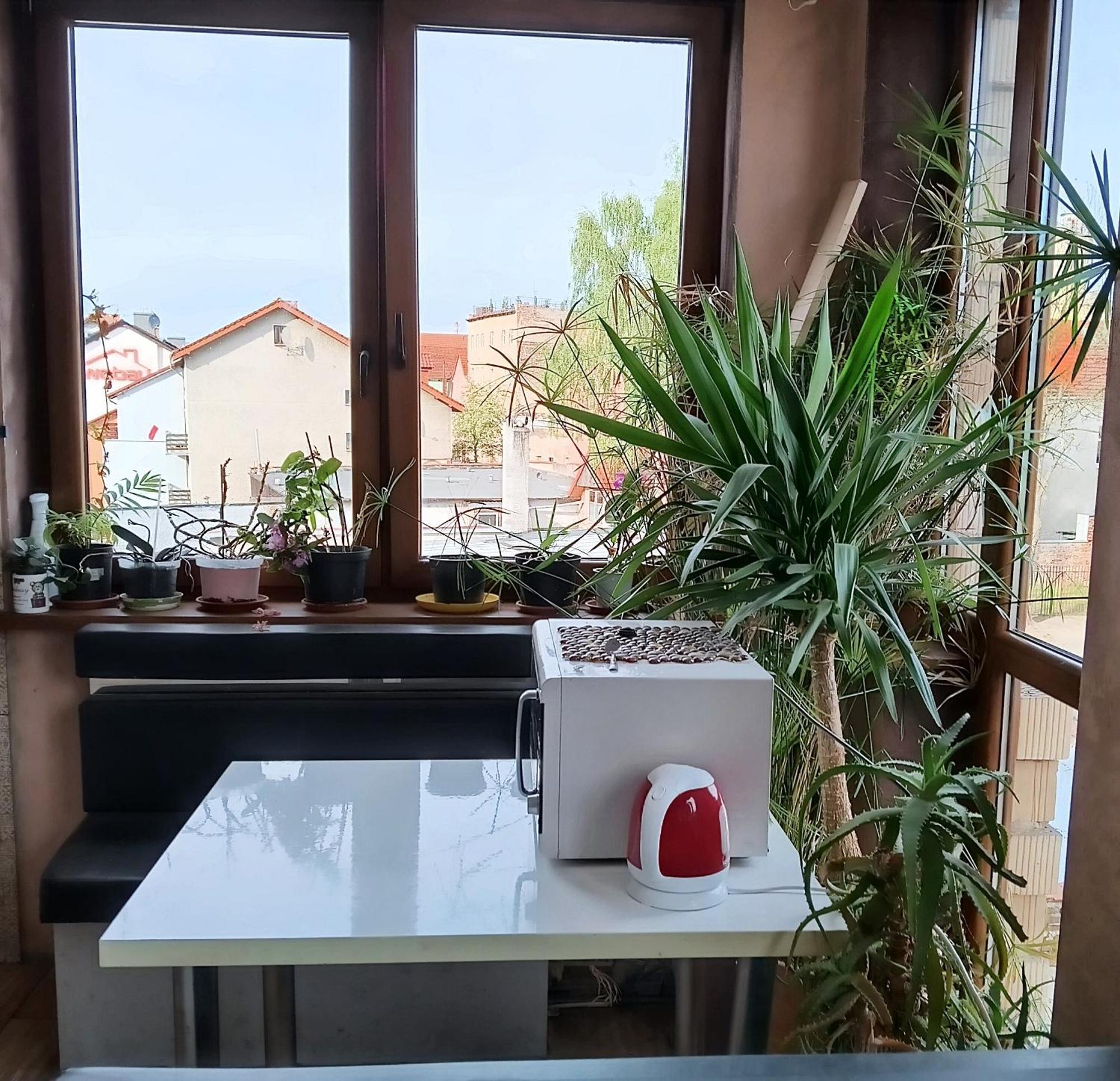 Noclegi Centrum Jelenia Gora Luaran gambar
